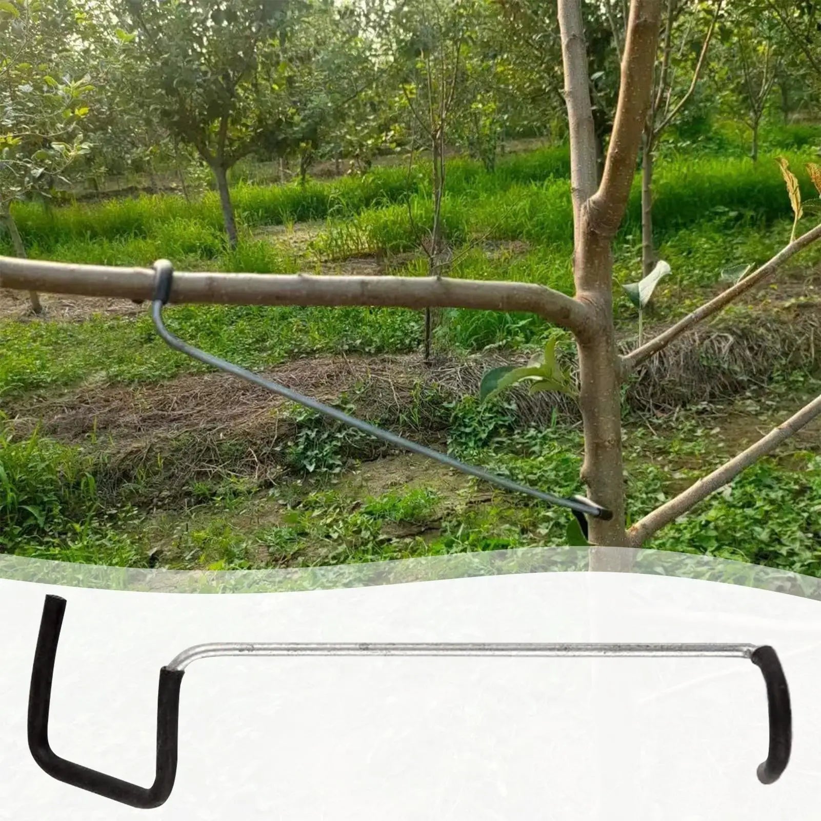 Branch Spreaders Fruit Trees 10X Tree Bender Protective Sleeve Zpaxo