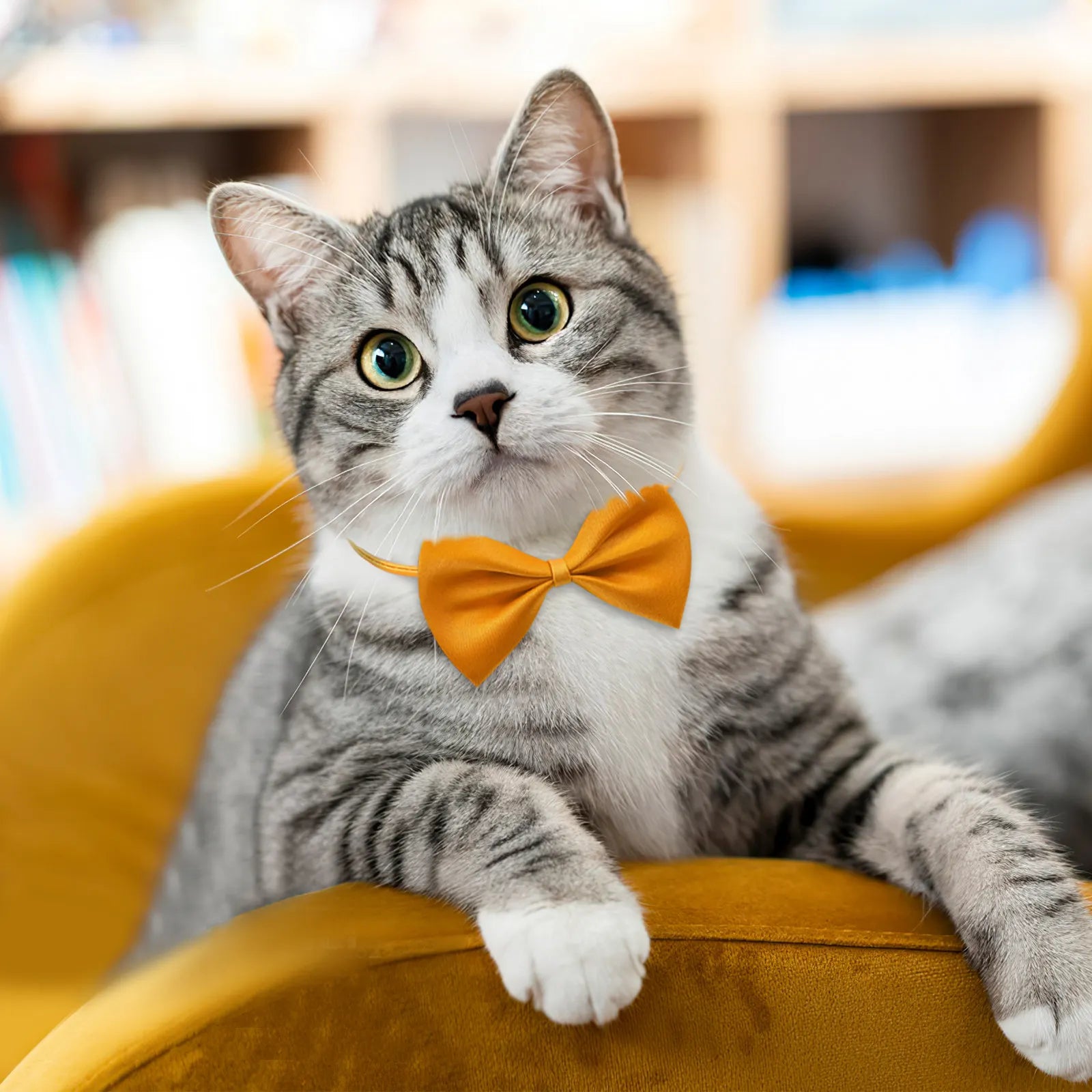 Pet Collar Adjustable Bow Tie Dog Cat Bows Kitten Easy Wear Party