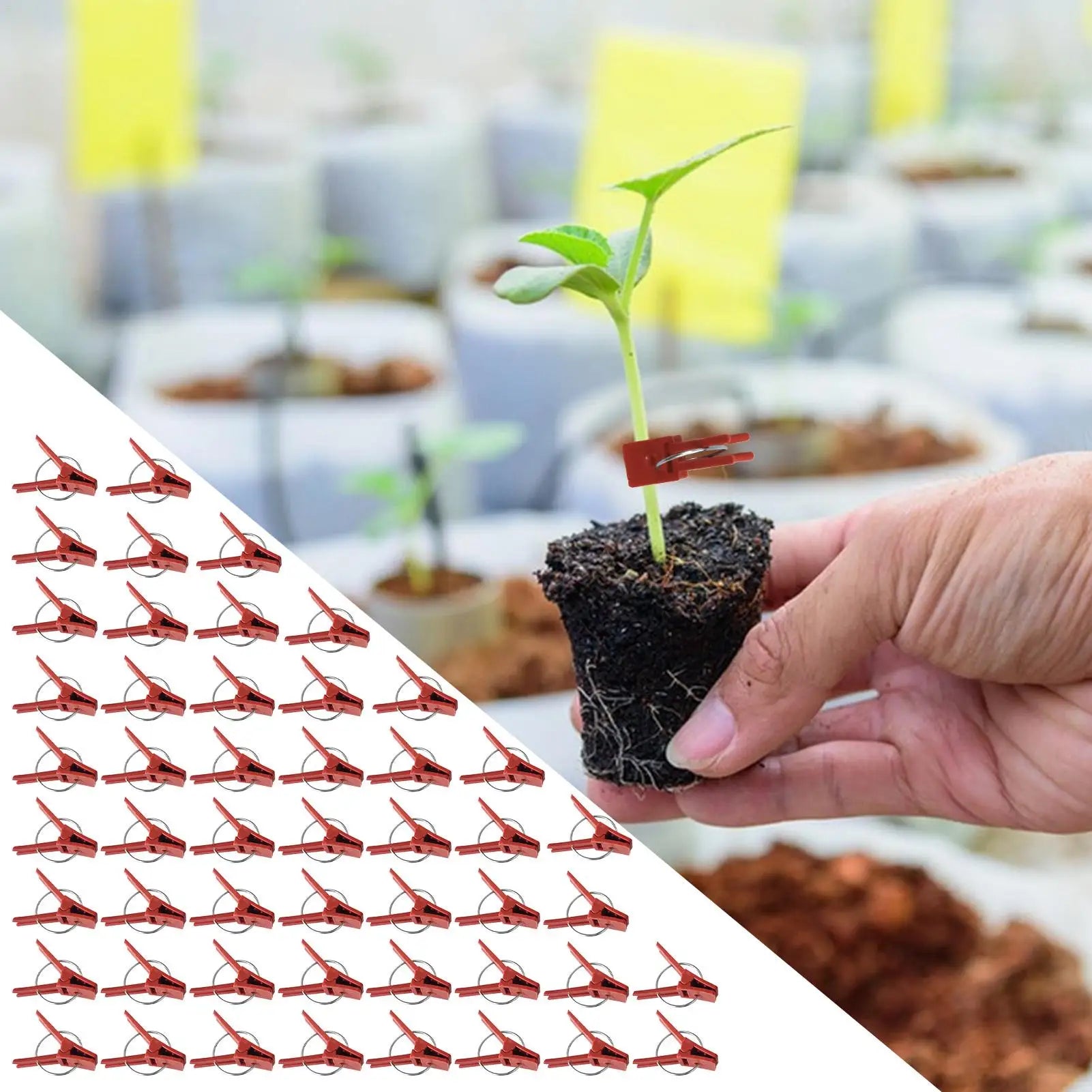Grafting Clips Pack Of 50 Horticulture Grafting Clamp Falt Mouth Hooks Connecting For Vegetables Watermelon Gardening Tool Zpaxo