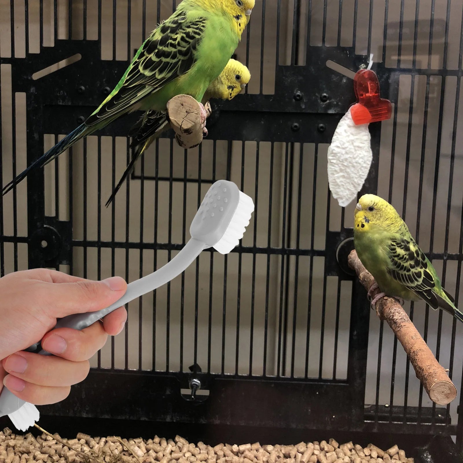 Bird Cage Cleaning Brush Dual Head Ergonomic Long Handle Poop Cleaner