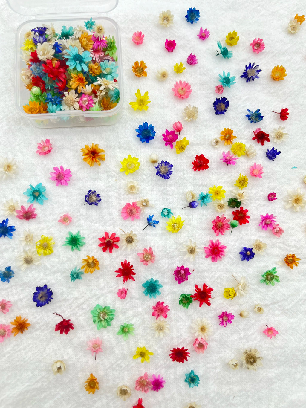 1BOX DIY Flowers Handmade Craft For Nail Art Resin Mold Fillings Candle making Jewelry Resin Phone Case Craft Decoration Zpaxo F