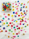 1BOX DIY Flowers Handmade Craft For Nail Art Resin Mold Fillings Candle making Jewelry Resin Phone Case Craft Decoration Zpaxo F