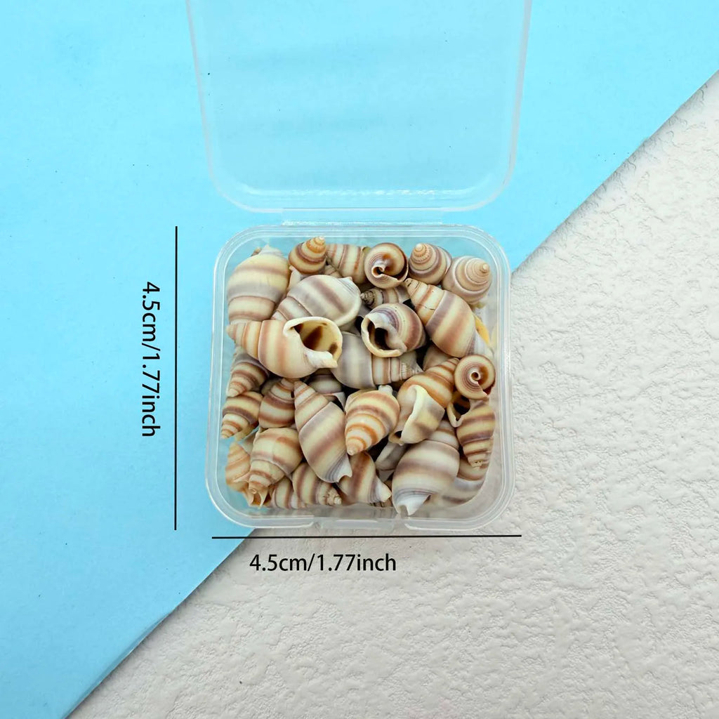 1BOX Mini Seashell Shell Pearls for Jewelry Candle Making Decoration Mini DIY Drift Bottle,Beach Wedding Home Decorations Zpaxo D