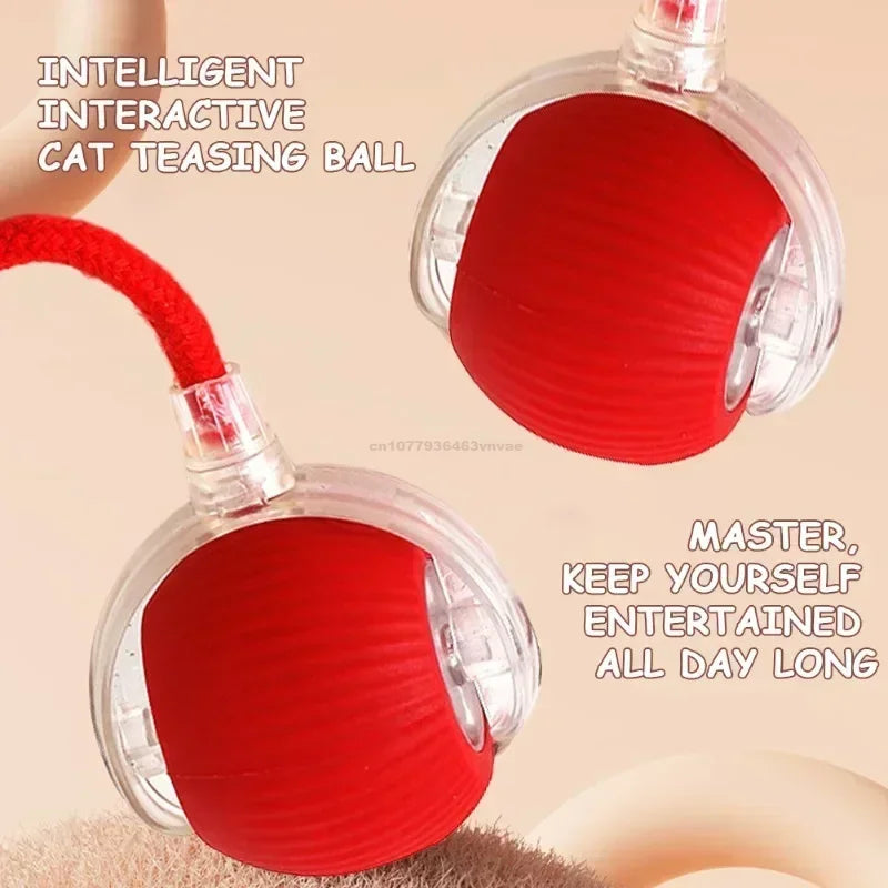 Cat Interactive Ball Toys Automatic Rolling Ball Faux Tail Rechargeable Pet Electric Toy Dog Cat Training Imitate Mouse Cat Toys Zpaxo