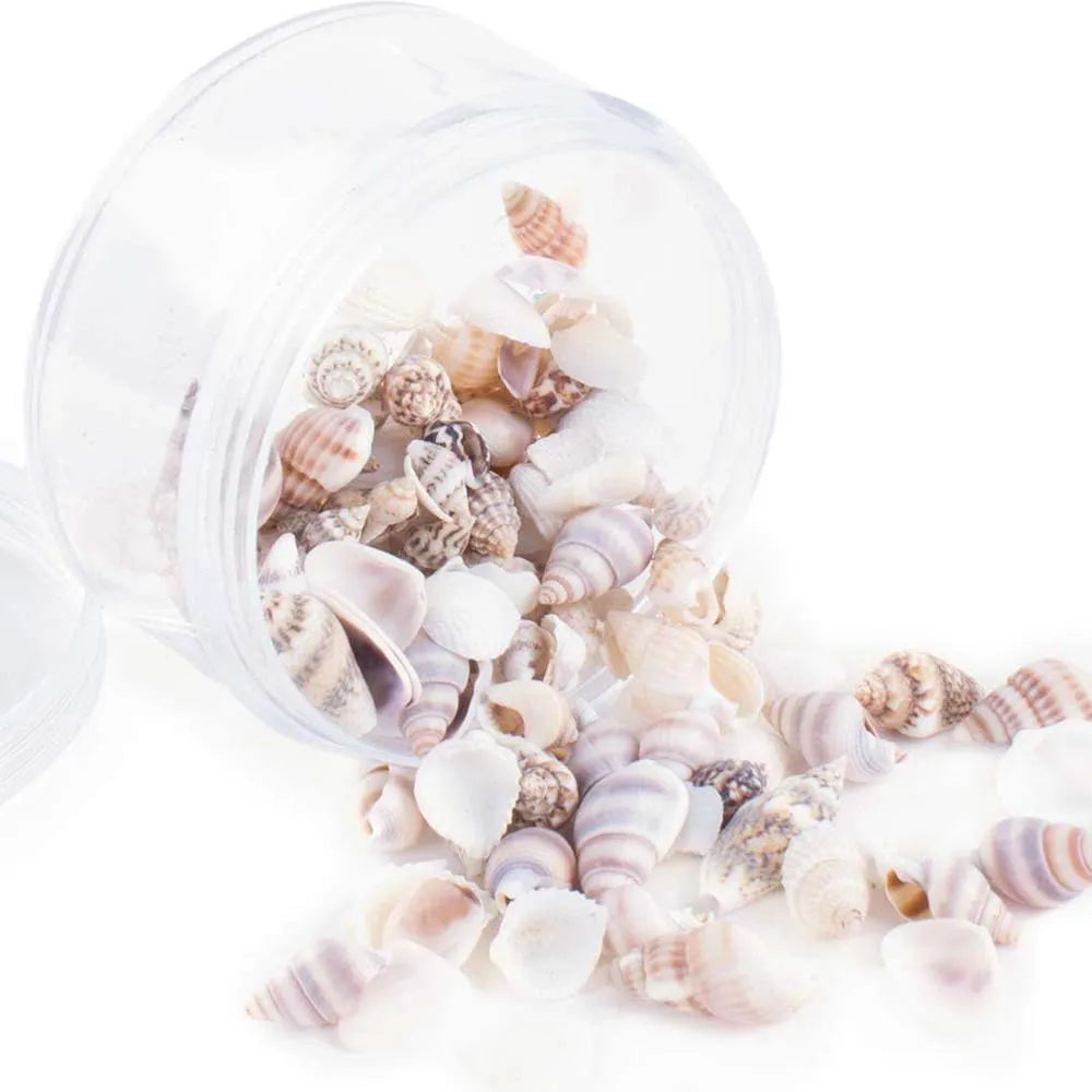 40g About200pcs Tiny Mini Small Sea Shells for Crafting Spiral Conch Shells for Crafts Charms Home Decorations Candle Decor Zpaxo