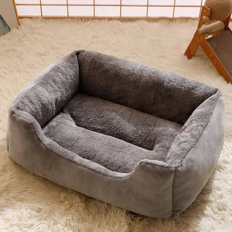 Bed for Cats Pet Products Cushions Kitten Goods Accessories Dog All Houses Supplies Things Accessory Habitats Basket House Beds Zpaxo