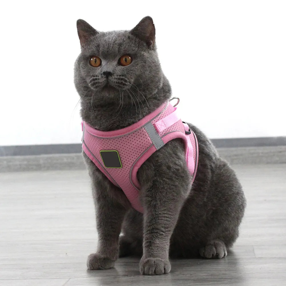 Reflective Dog Harness Vest Pet Chest Strap Leash Puppy Outdoor Night