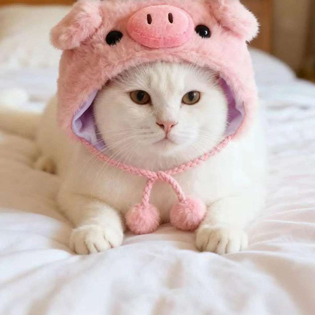 Funny Animal Hats Cats Dogs Small Pets Kitten Puppy Costume Headwear