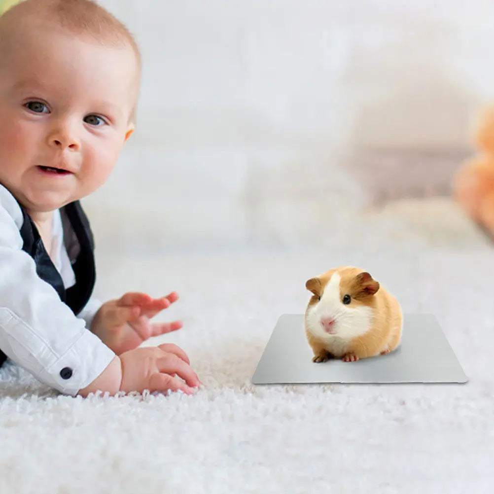 Lightweight Aluminum Hamster Cooling Board Reusable Pad Small Pets