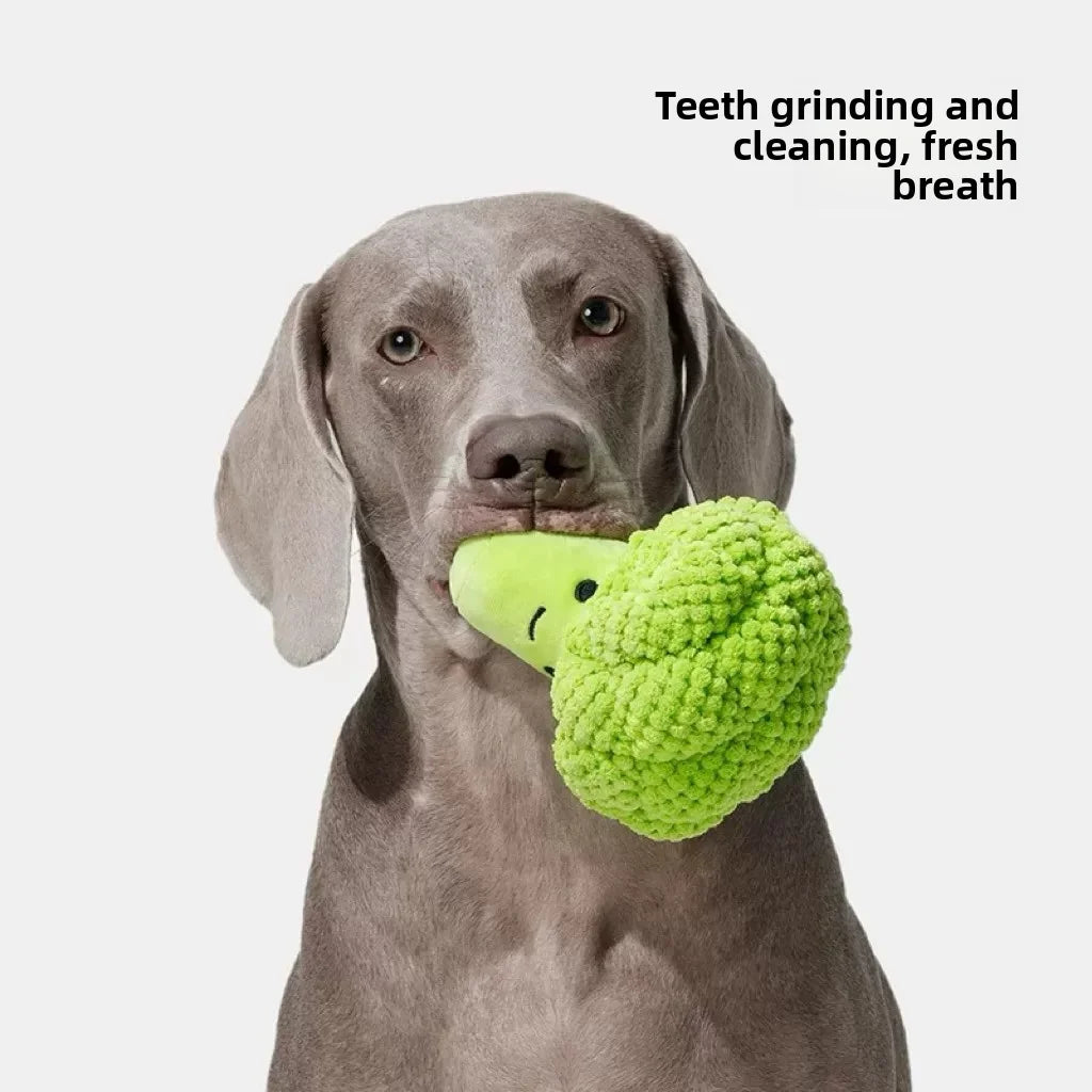 Broccoli Squeaky Plush Dog Toy – Chew, Clean & Play