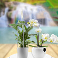 8Pcs Plant Support Stakes Iron Garden Flower Support Bracket Climbing Plant Rack for Potted Plants Tomatoes Vines Vegetables Zpaxo Default Title