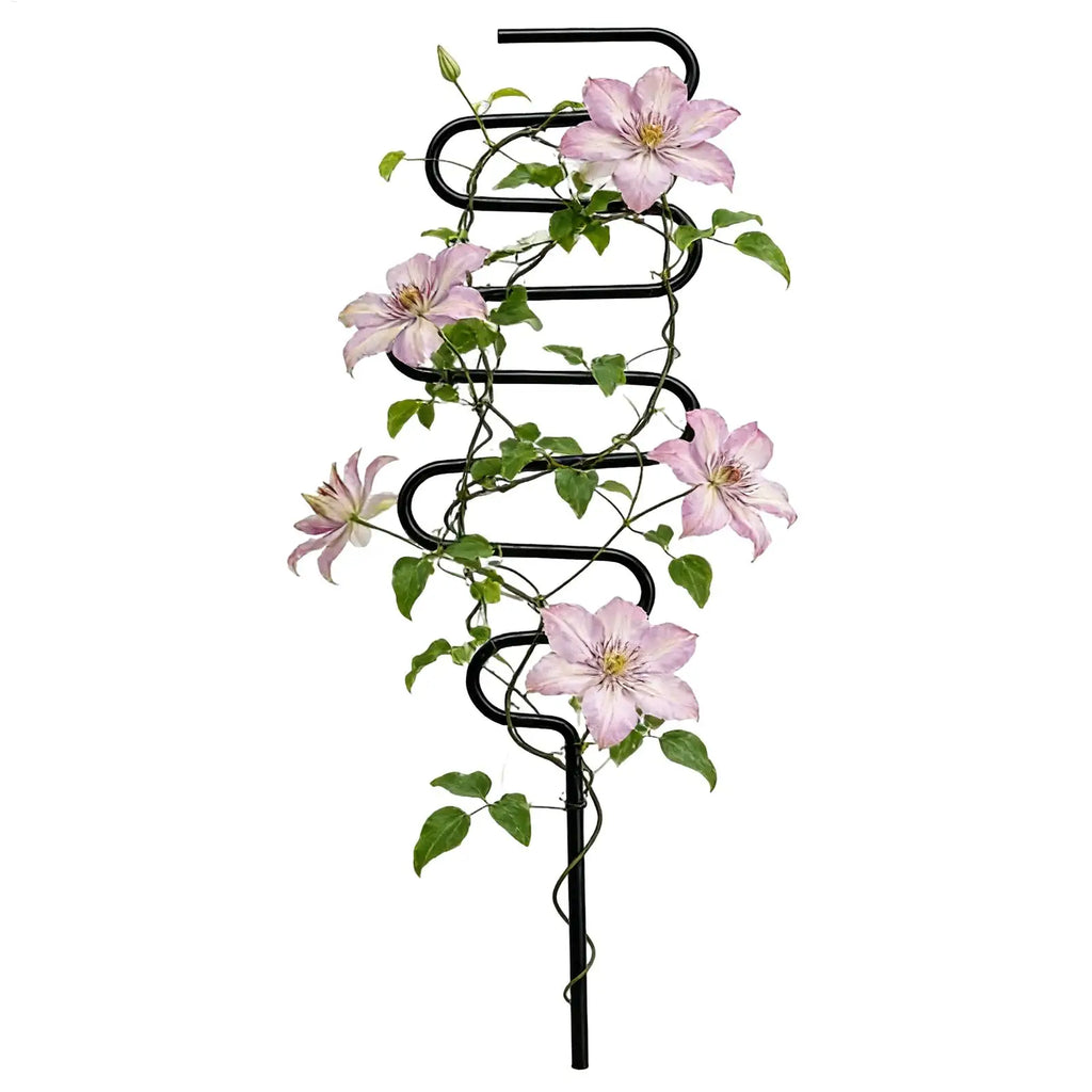 Iron Plant Trellis Support Stakes – Indoor & Outdoor Climber Pole Plant Support Stake Zpaxo
