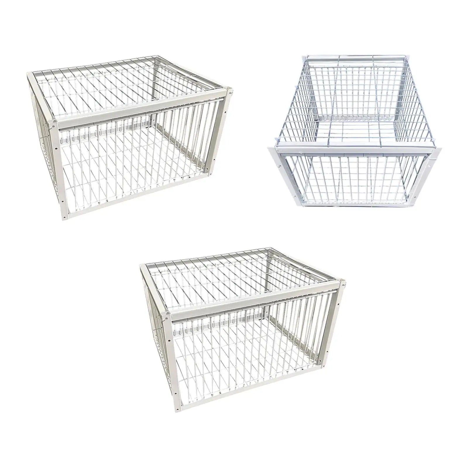 Pigeon Trap Humane Poultry Care Single Way Entry Metal Welding Coop Zpaxo