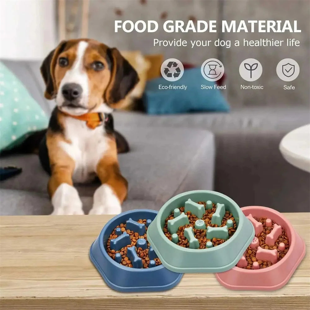 Slow Feed Dog Bowl Slip-resistant Design Promotes Healthy Eating Zpaxo