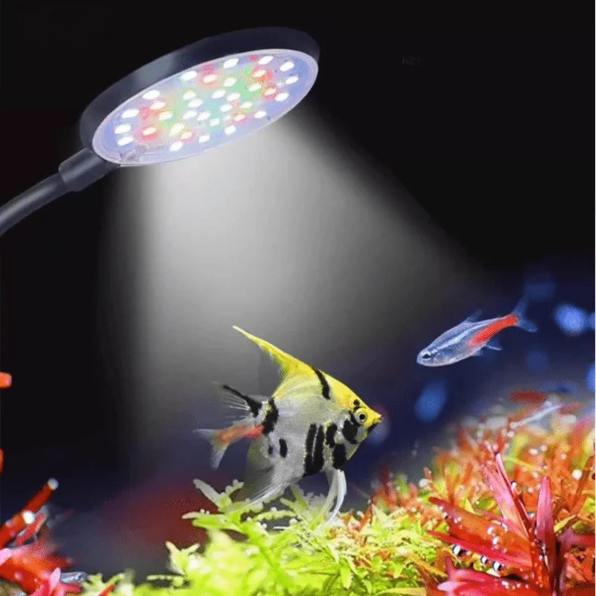 3W 6W Fish Tank Clip Lamp USB Power Decorate Led Full Spectrum