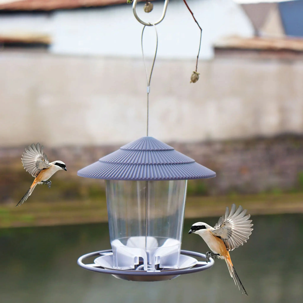 Bird Feeder Automatic Foot Feeding Tool Outdoor Hanging Nut Multiple