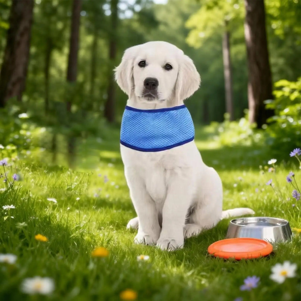 Summer Dog Cooling Ice Scarf Cool Towel Quick Release Pet Clothes