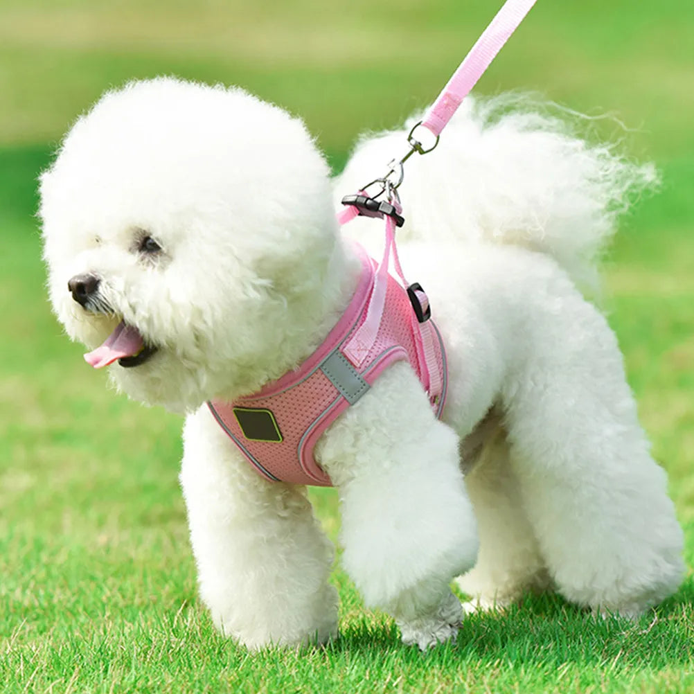 Reflective Dog Harness Vest Pet Chest Strap Leash Puppy Outdoor Night