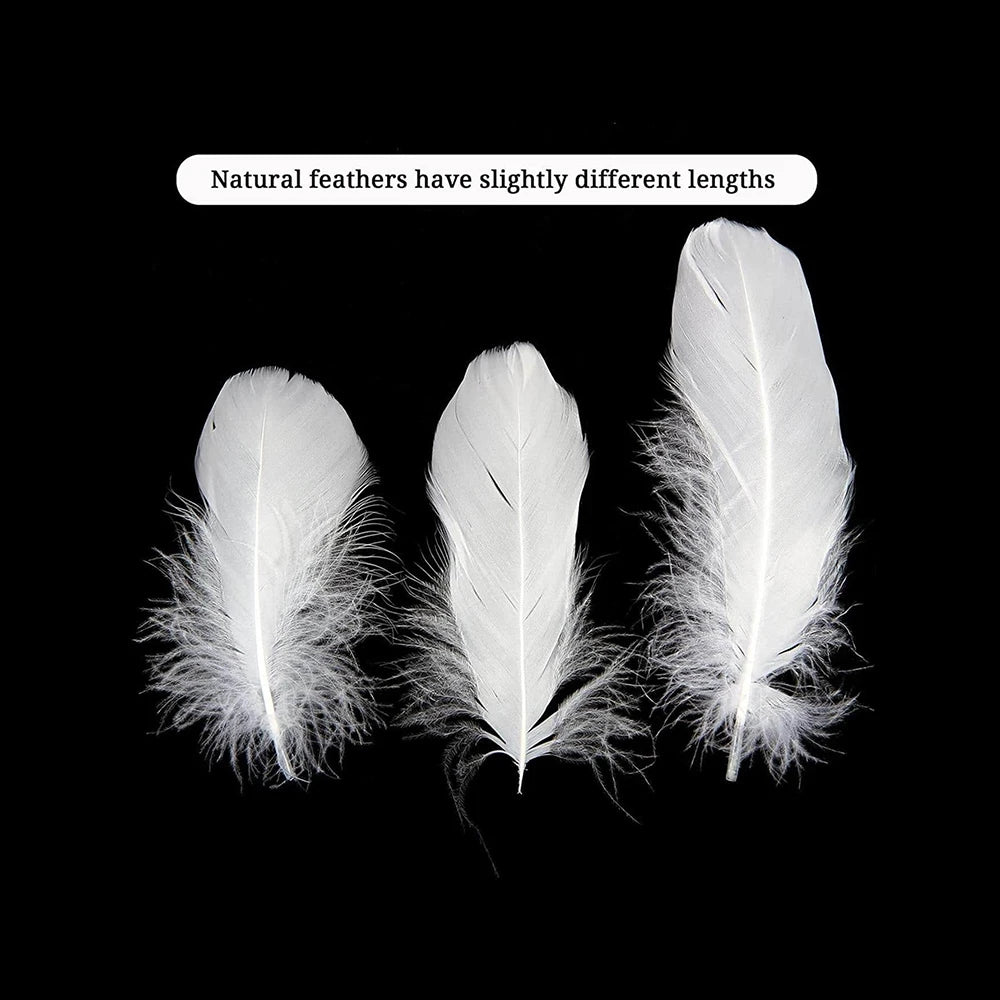 100Pcs White Feather Goose Feathers for Crafts DIY Wedding Party Halloween Decoration Goose Nagoire Feathers Zpaxo