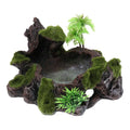 Pets Feeding Plate - Non- Reptile Bowl Resin Dish Suitable for Reptile Small Animals, Tortoise, , Frog, Gecko, Scorpion Zpaxo Default Title