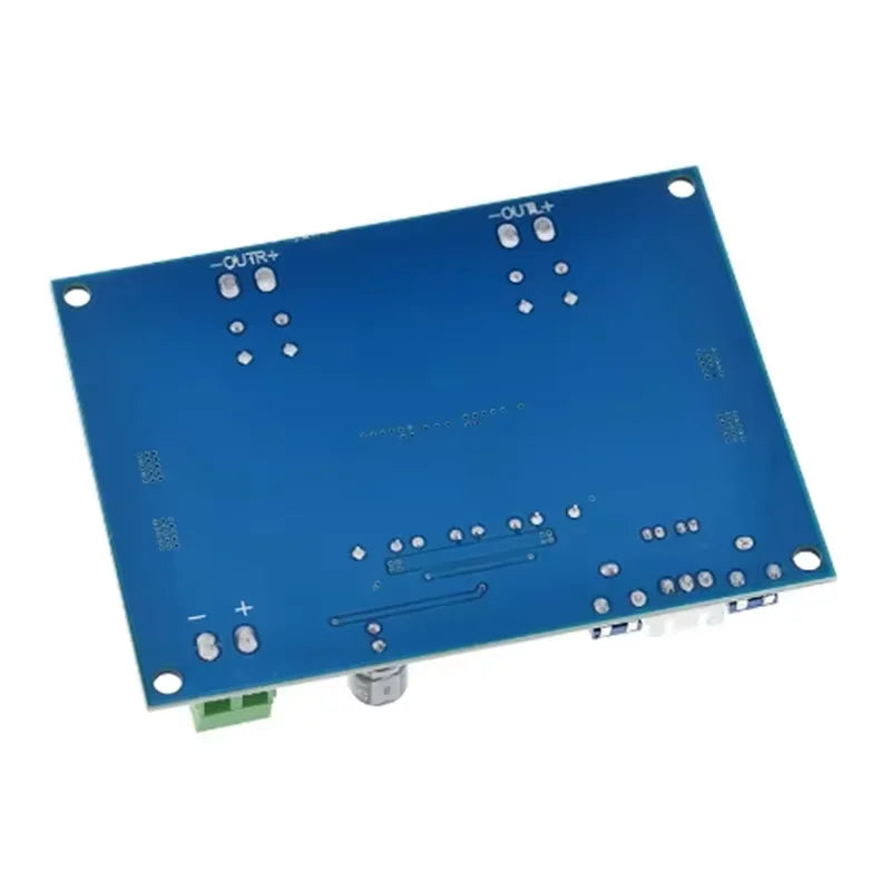 TPA3116D2 Chip Digital Amplifier Board Single Channel 100W Module Zpaxo