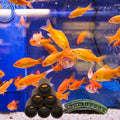 Fish Tank Ceramic Cave Shelter Tube Aquarium Decoration Shrimp