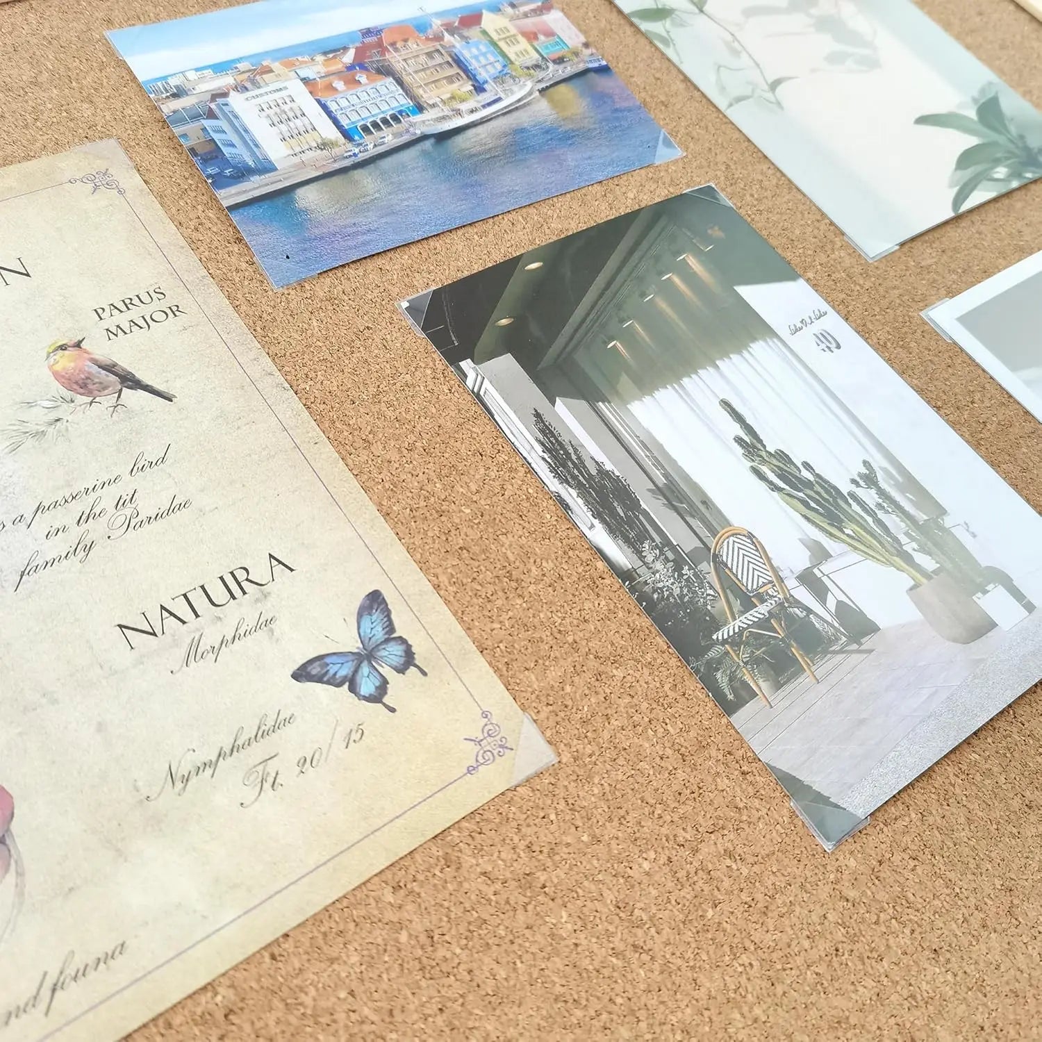 Clear Self-Adhesive Photo Corners – Acid-Free Scrapbook Mounts