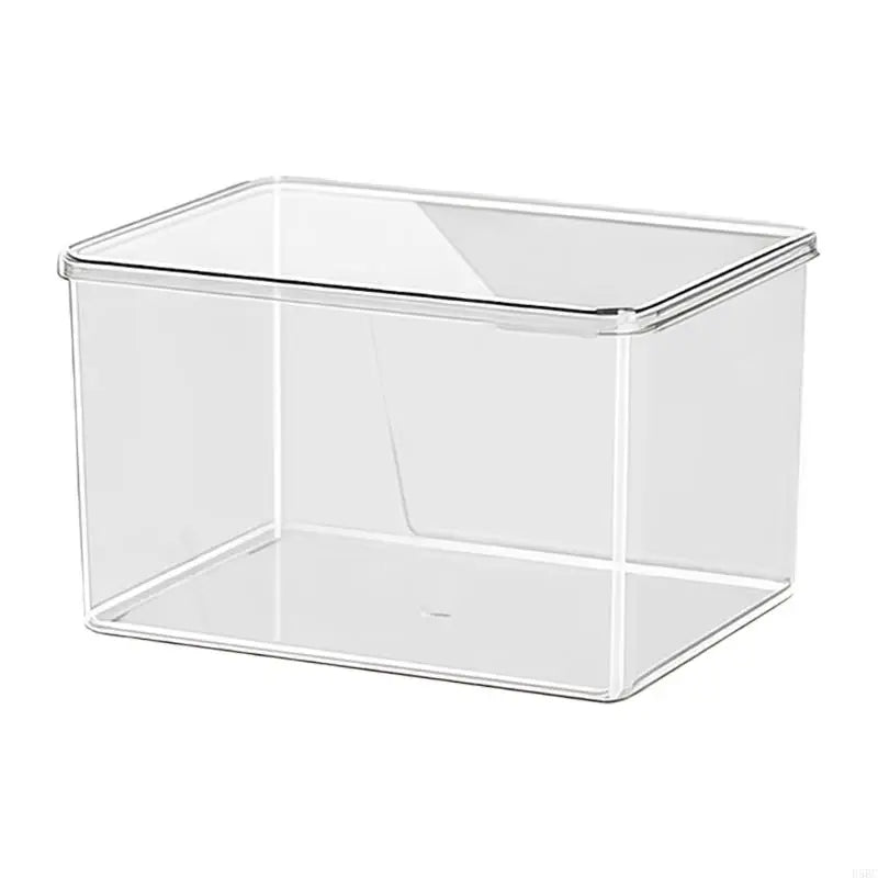 Frameless Tabletop Aquarium Shatterproof Clear Acrylic Aquatic Scene