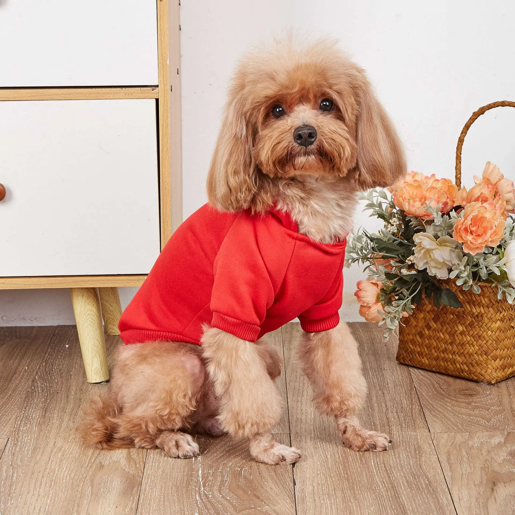 Winter Teddy Dog Clothes Sport Hoodies Sweatshirts Warm Coat Clothing