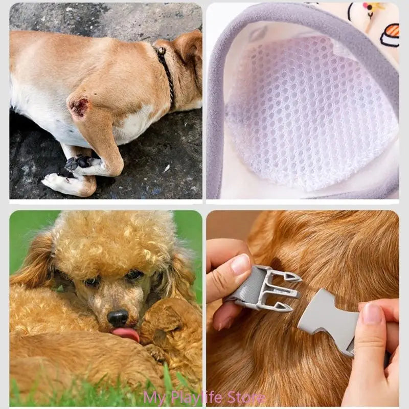 Dog Elbow Brace Front Leg Recovery Sleeve Protector Canine Joint