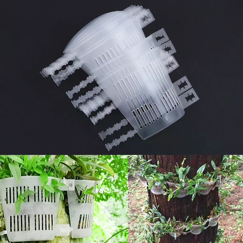 Orchid Planting Boards Root-control Aeration Dendrobium Mounting Zpaxo
