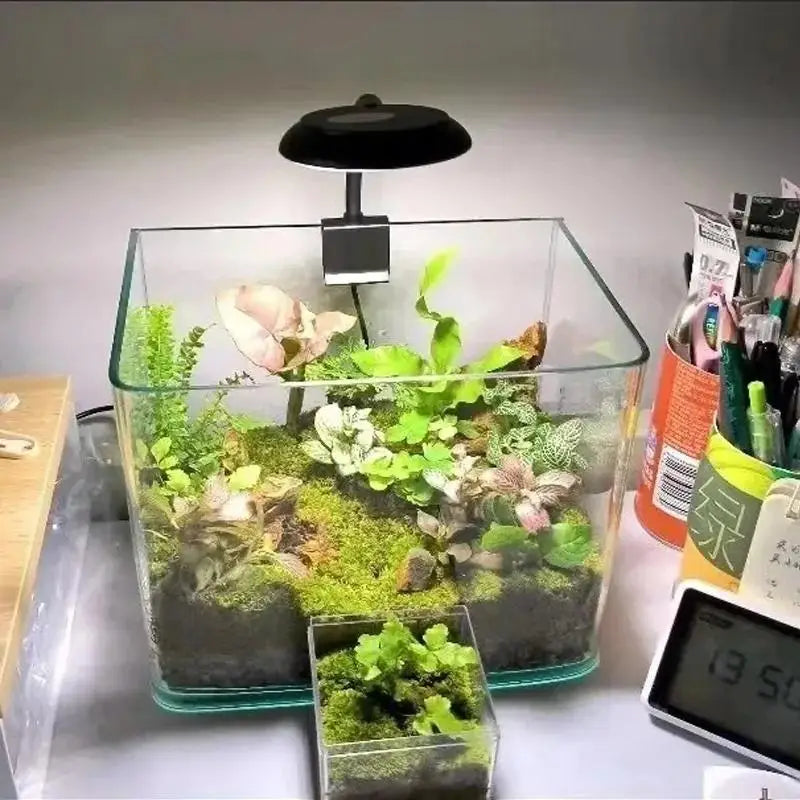 3W 6W Fish Tank Clip Lamp USB Power Decorate Led Full Spectrum