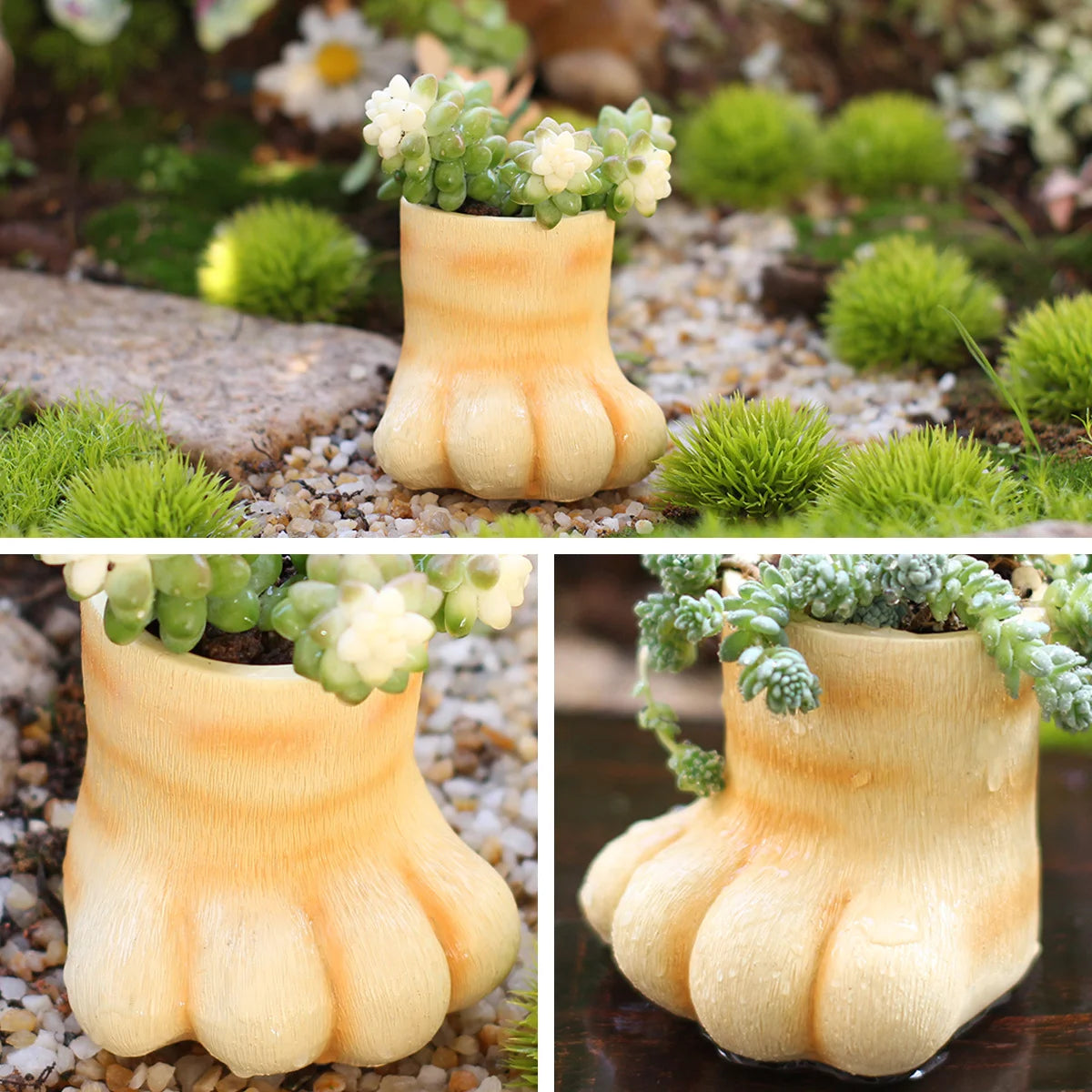 3D Cat Paw Resin Planter – Succulent Pot & Desk Organizer