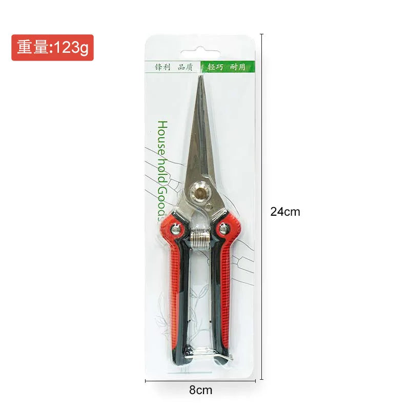 Fruit tree scissors, stainless steel pointed pruning shears, pruning shears, fruit and vegetable pruning shears, flower cutting Zpaxo PH377