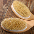Full Body Natural Bristle Dry Skin Exfoliation Brush Detox Fight