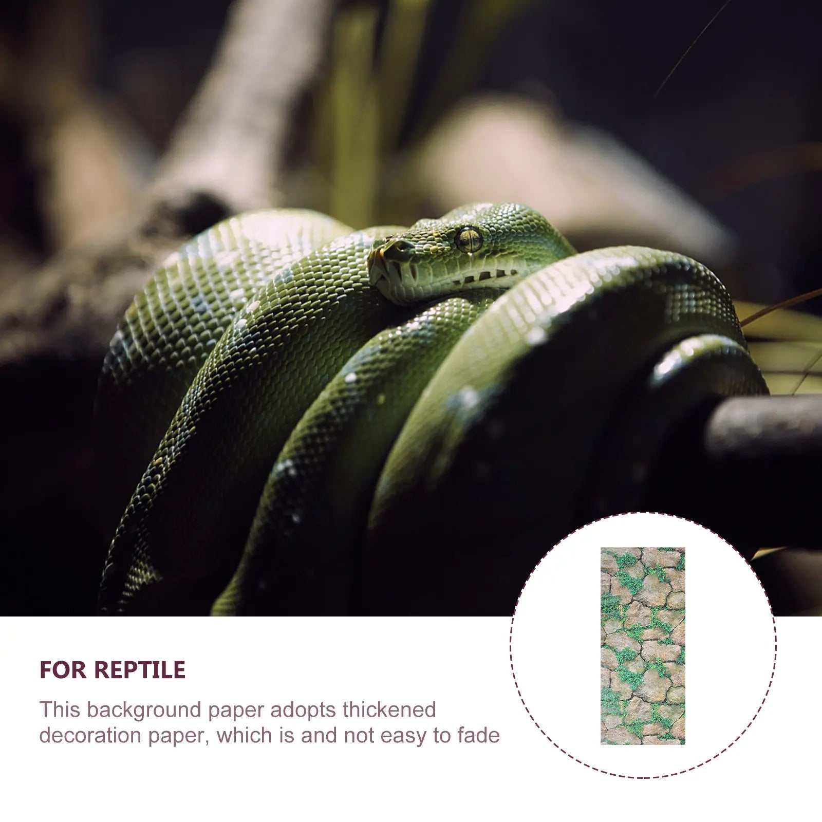 Thickened Self-adhesive Rocks Pattern Wallpaper Reptile Tank