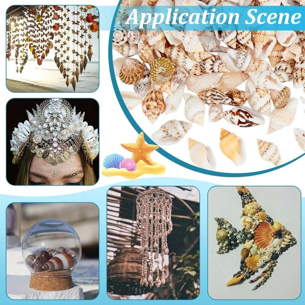 Miniature Spiral Seashells for Resin Crafting – 100pcs 20g Pack Craft Shell Embellishments Zpaxo