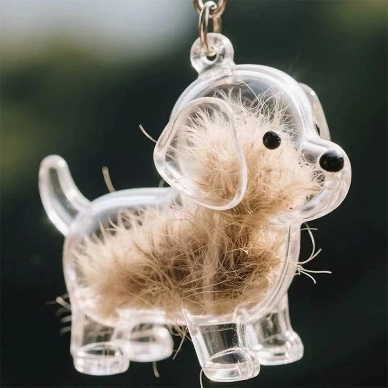 1Pcs Clear Puppy Hair Memorial Keepsake Capsule Pet's Dog Fur Container DIY Pendant Keychain Decor Pet Lovers Home Display Gifts Zpaxo