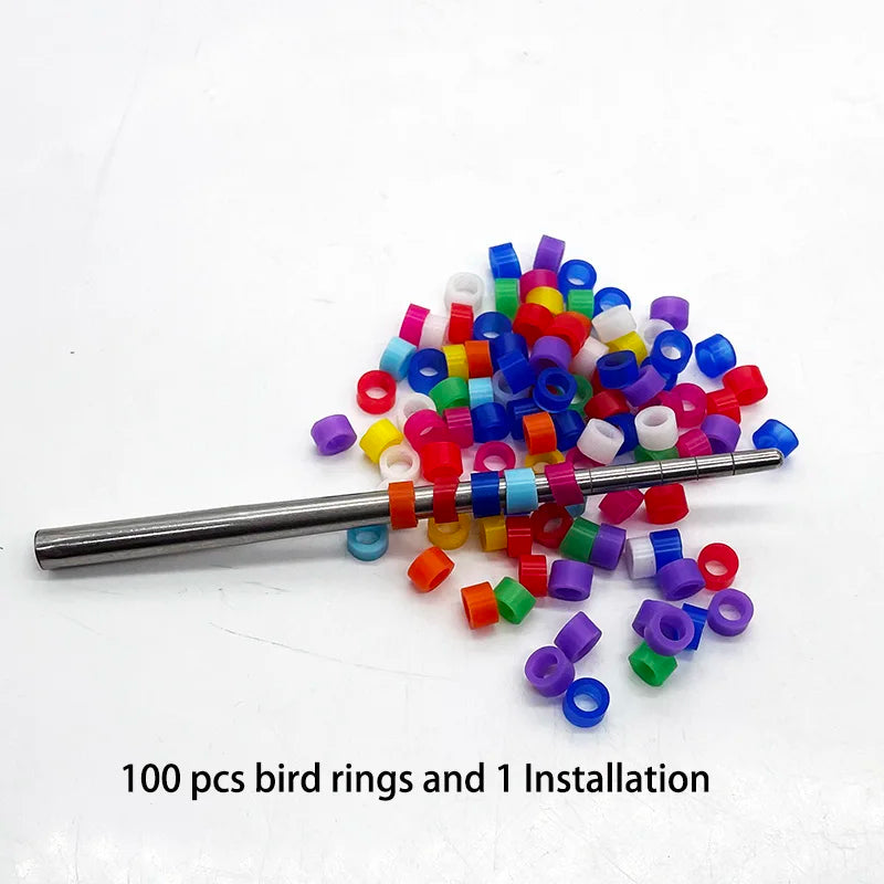 Bird Ring Leg Bands Parrot Finch Canary Gouldian Diameter Foot