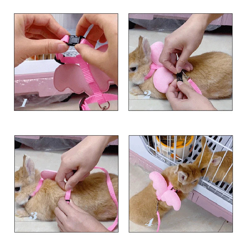 Angel Wing Small Pet Harness & Leash – Cats, Rabbits & Ducks