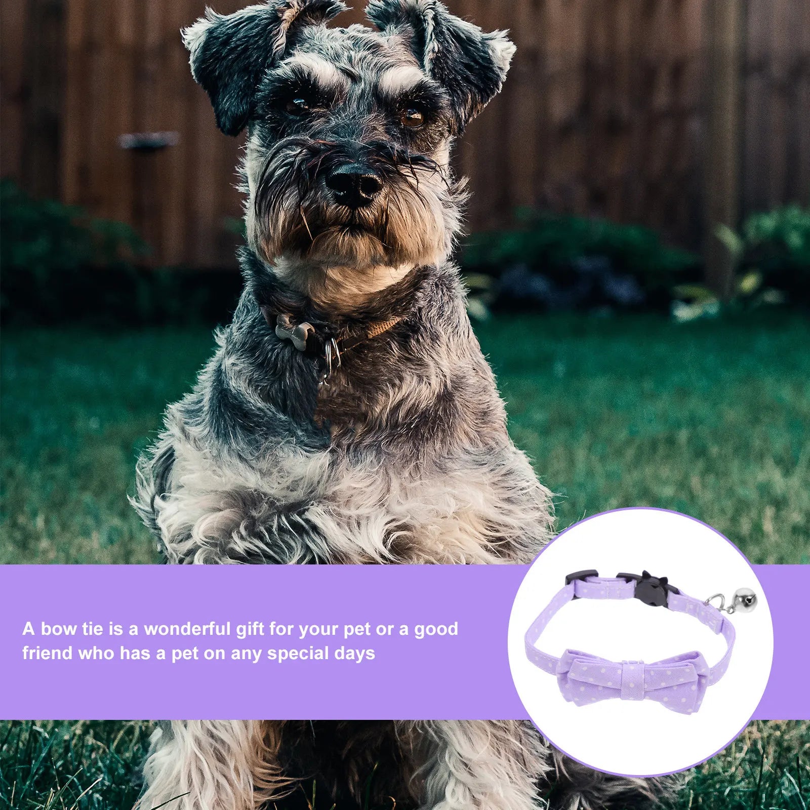 Pet Dog Collar Small Adjustable Bow Tie Cotton Bell Decorative