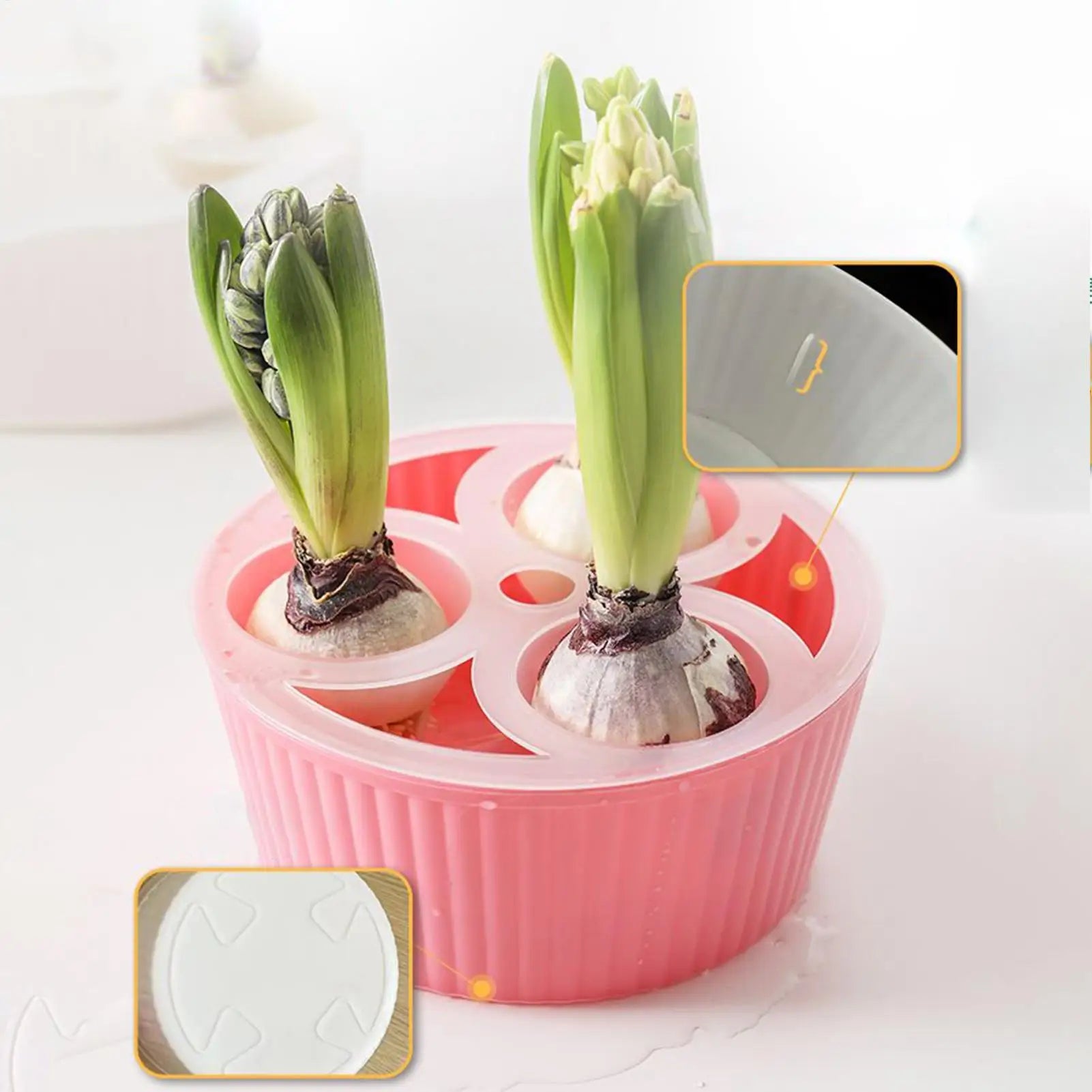 Hydroponic Planter 3 Hole Vase Flower Bulb Planting Container