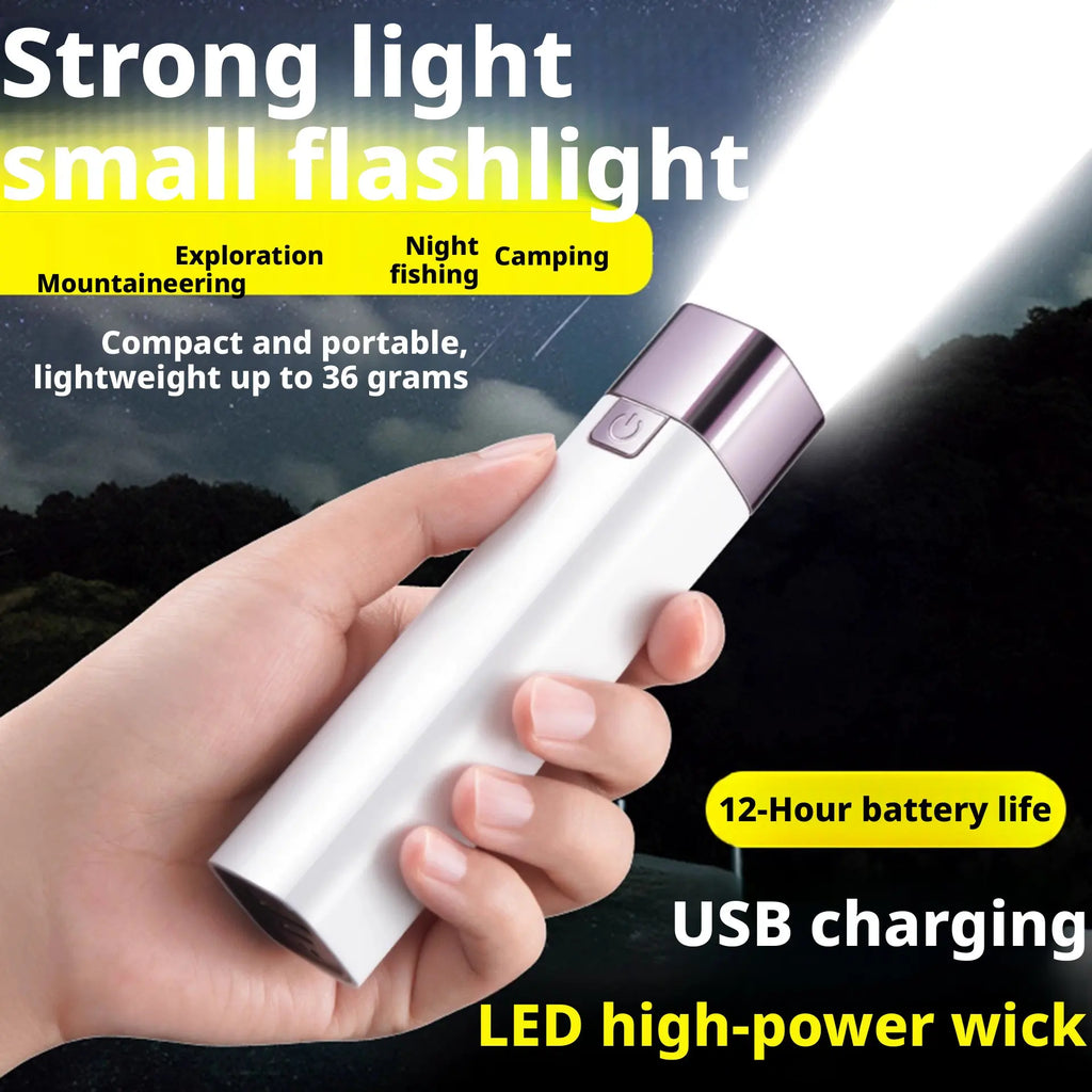 ESMARTER 450 Lumen USB Rechargeable LED Flashlight | IP66