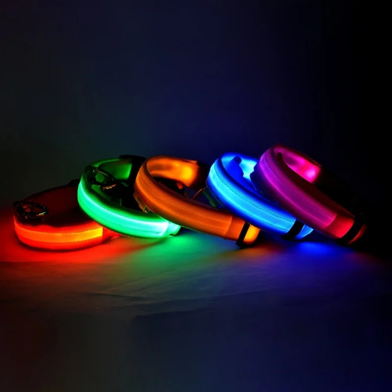 Nylon LED Night Safety Flashing Glow In The Dark Dog Leash Dogs Luminous Fluorescent Pet Dog Collar Zpaxo