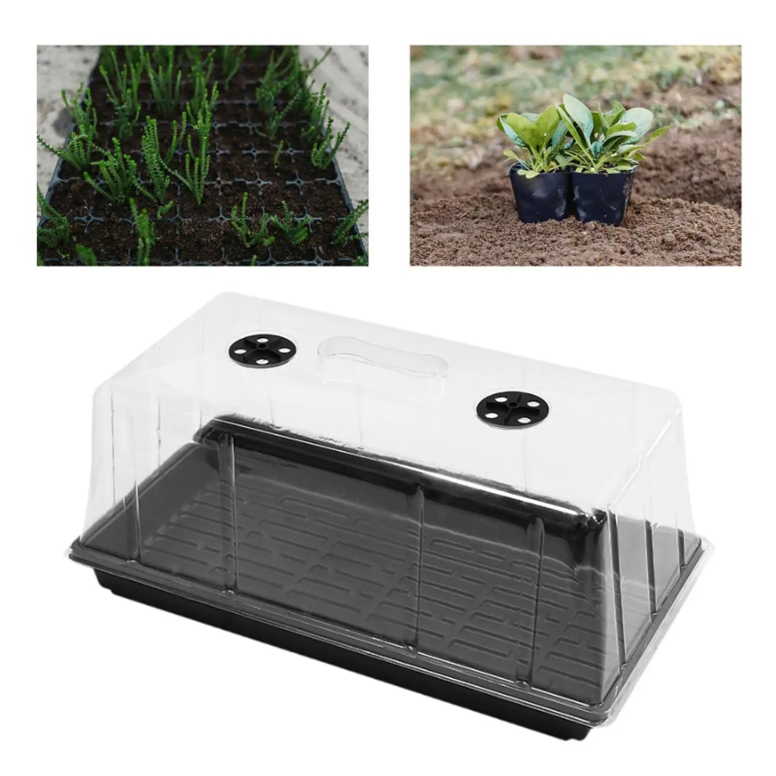 Indoor Gardening Seedling Propagation Tray Cover Plant Starter Zpaxo
