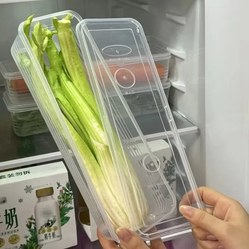 Fresh Box Fridge Herb & Scallion Storage Container with Lid