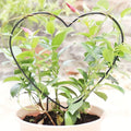 1PC Plant Trellis Support Frame Heart-shaped Vine Climbing Rack Iron Garden Plant Support Stake Stand Flower Garden Decor Zpaxo Default Title
