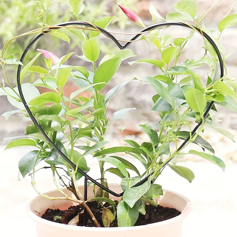 1PC Plant Trellis Support Frame Heart-shaped Vine Climbing Rack Iron Garden Plant Support Stake Stand Flower Garden Decor Zpaxo Default Title