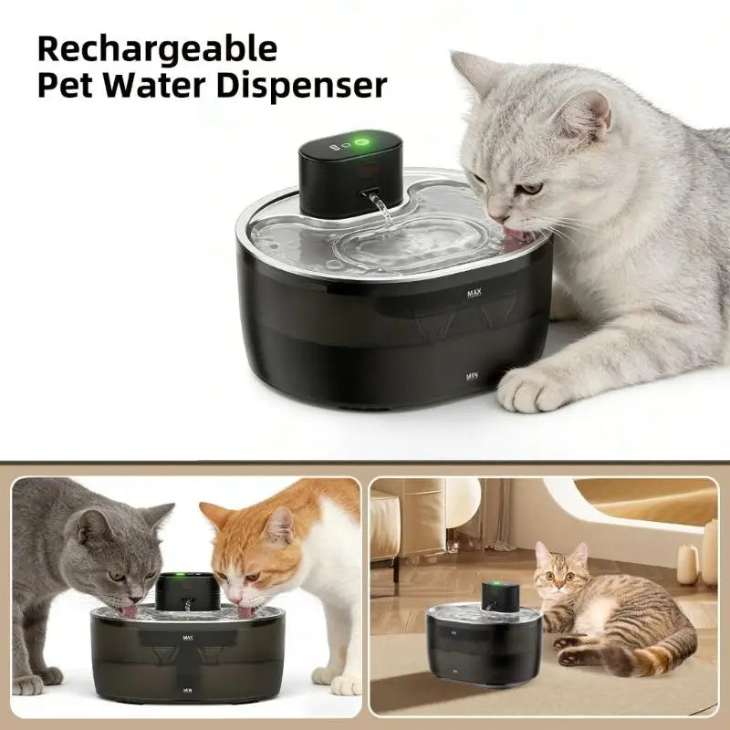 Large Capacity Pet Water Dispenser Automatic Circulation Filter
