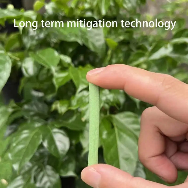 Box Plant Slow-release Sticks Nutrient Stick Fertilizer Indoor Potted